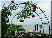 06102-Meersburg-GEDC3300.JPG