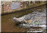 07352-Fiburgo-Cocodrilo-GEDC3330.JPG