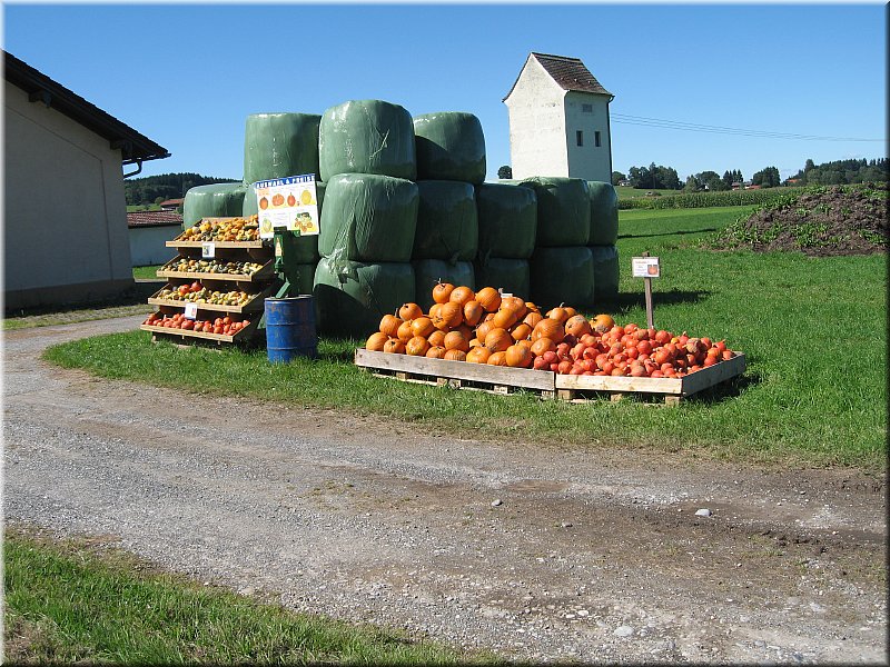 024-Venta de calabazas-_1751.JPG