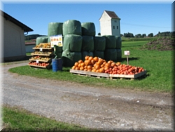 024-Venta de calabazas-_1751.JPG