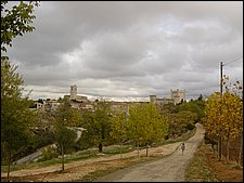 Torija