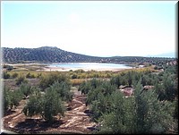 100_3010.JPG