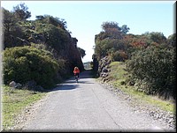 100_3031.JPG