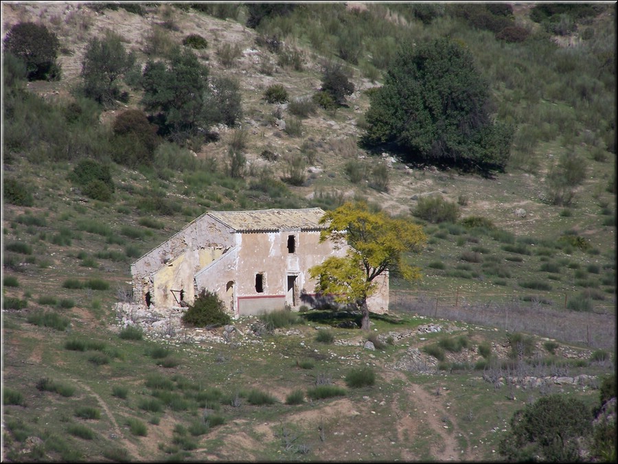 100_3089 Puerto Serrano - Olvera.JPG