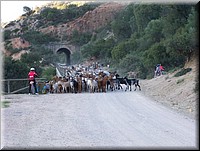 100_3091 Puerto Serrano - Olvera.JPG