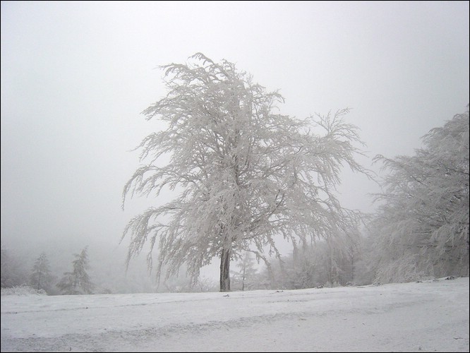 Velate Enero-2003.jpg