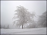 Velate Enero-2003.jpg