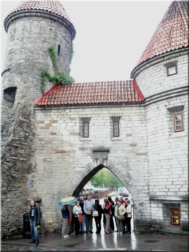 P1000269.JPG