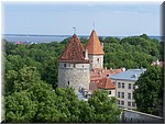 100_2020.JPG