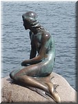 P1000510.JPG