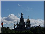 02-04-St-Petersburg-Cat-de-la-Sangre