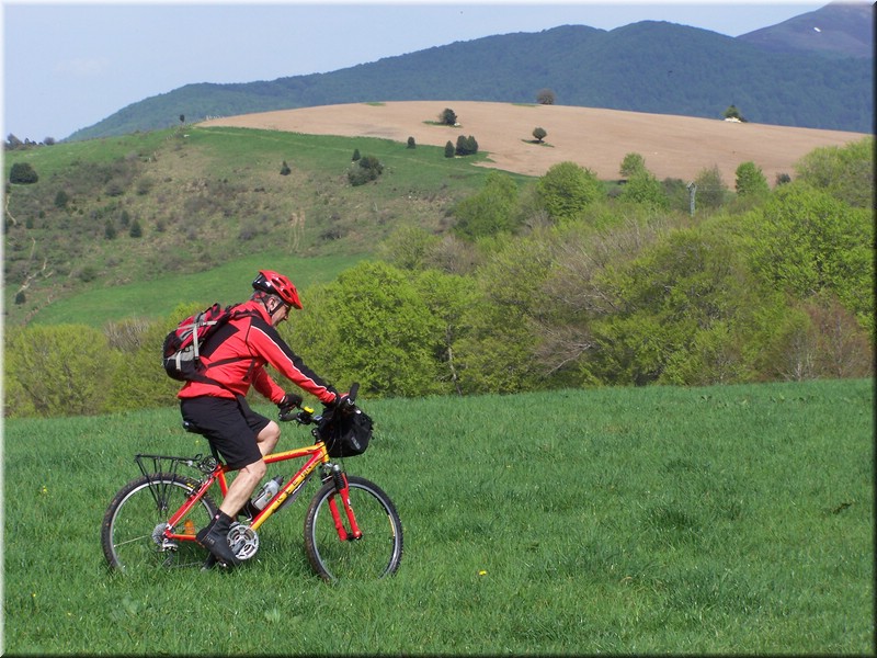 0206-Camino - Burguete al Alto de Erro.JPG
