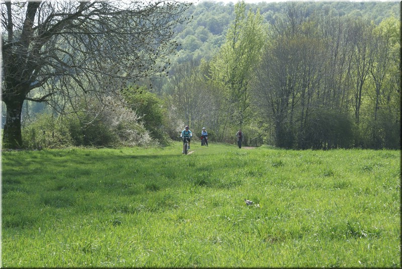 0209-Camino - Burguete al Alto de Erro.jpg