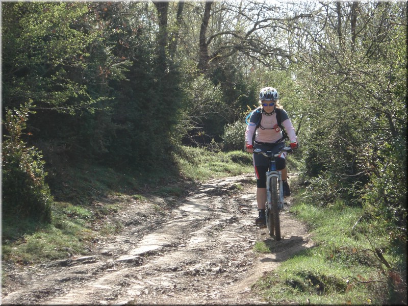 0240-Camino - Alto de Erro a Zubiri.jpg