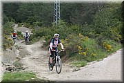 0550-Camino-Hacia Pamplona.jpg