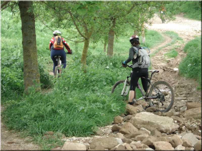 0790-Camino- Hacia el puerto del Perdon.jpg