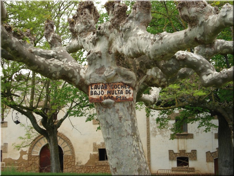 1350-Camino- Monasterio de Irache.jpg