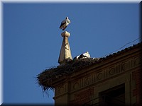 0919-Nájera.JPG