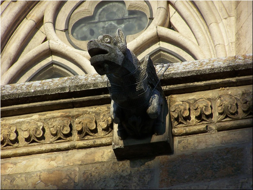 012-Leon- Catedral- Gárgola-K2422.JPG