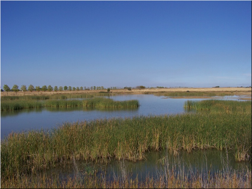 072-Laguna del Olmo- K2507.JPG