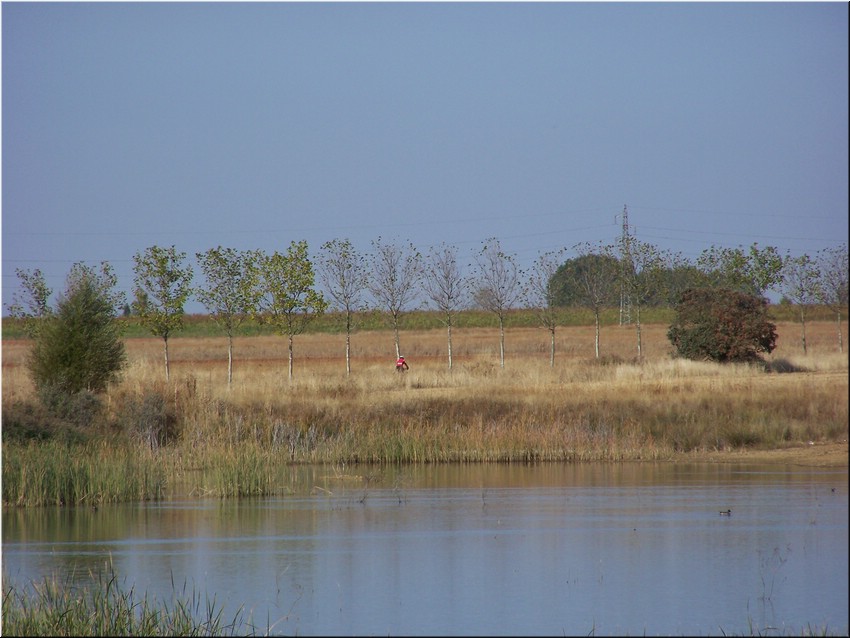 073-Laguna del Olmo- K2508.JPG