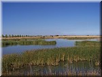 072-Laguna del Olmo- K2507.JPG