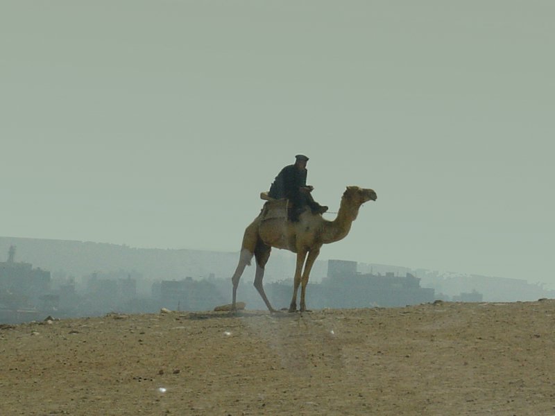 0_405-Giza-Piramides.jpg