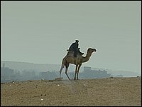 0_405-Giza-Piramides.jpg