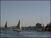 550-PaseoNiloAswan.JPG