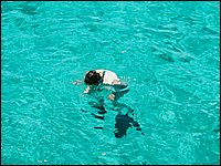 748Y_03-MarRojo.JPG