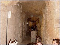 752-Alejandria-CatacumbaBueyes.JPG