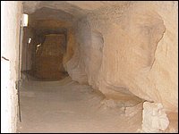 753-Alejandria-CatacumbaBueyes.JPG