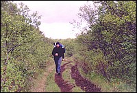 700-Bosque-de-Thorsmork-b.jpg