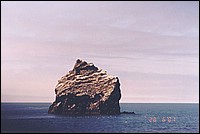 990-Reikjanes_1_b.jpg