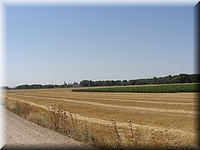 DSC03527.JPG