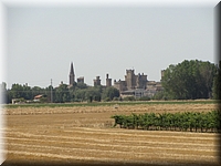 DSC03528.JPG