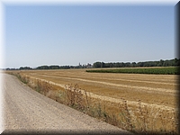 DSC03529.JPG
