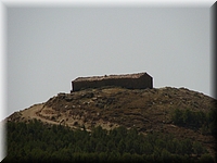 DSC03533.JPG