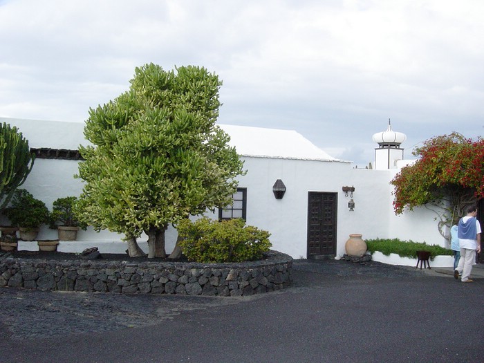 Casa-Cesar-Manrique-3866.JPG