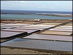 Salinas-Janubio-10096.JPG