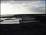 Salinas-Janubio-3993.JPG