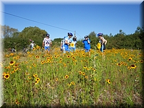 01720 Entre flores.JPG