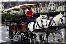 04200 Blois - Mademoiselle des chevaux.JPG