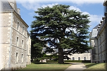 05500 Abadia de Pontlevoy.JPG