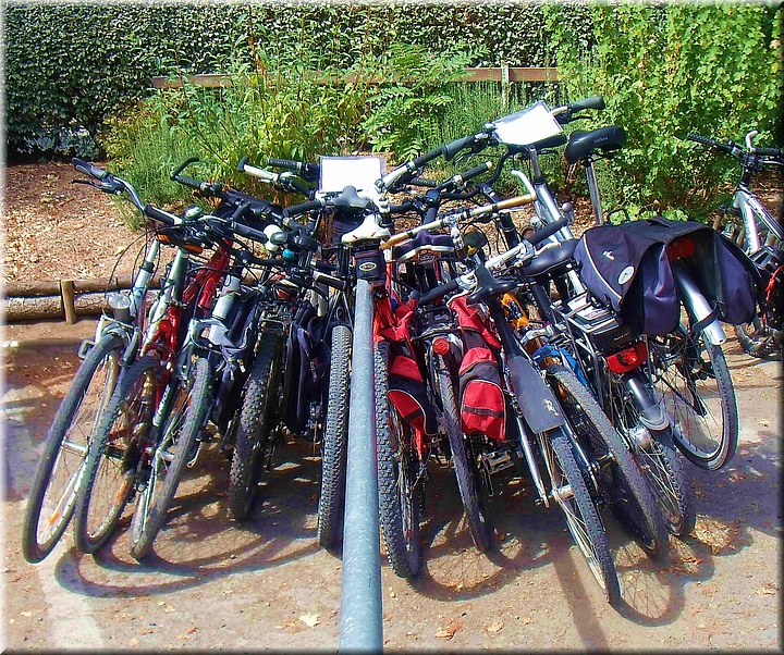 08410 Bicis en Cht Chenonceau.JPG