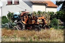 31 de Agosto 2012 - Noyer-sur-Cher a La Fert Saint-Cyr