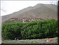 040--Atlas&Desierto 018.jpg