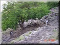 090-Atlas&Desierto 030.jpg