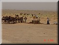 310-Atlas&Desierto 095.jpg