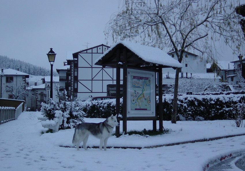 Doneztebe-Nieve-01-03-2004-2189-.JPG